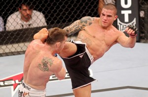 - Sarafian 01 - - 0 - - - - www.inovafoto.com.br - id:29236