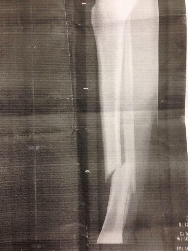 551956_497946580268424_345540414_n