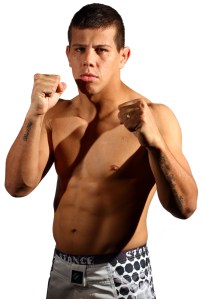 ThiagoSilvaBEL_fight