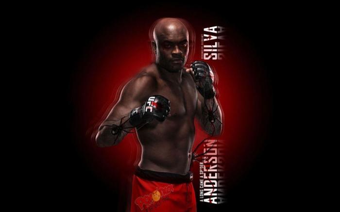 anderson_silva_widescreen_hd_wallpaper-wide