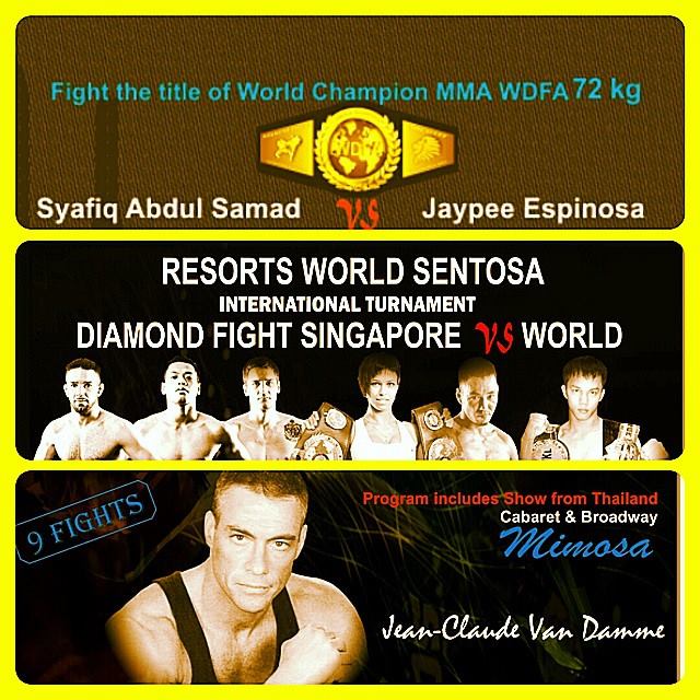 Diamond Fight Promotion