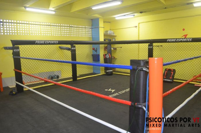 Octoring ,adaptação para treinamentos tanto nas grades do cage quanto nas cordas do ring