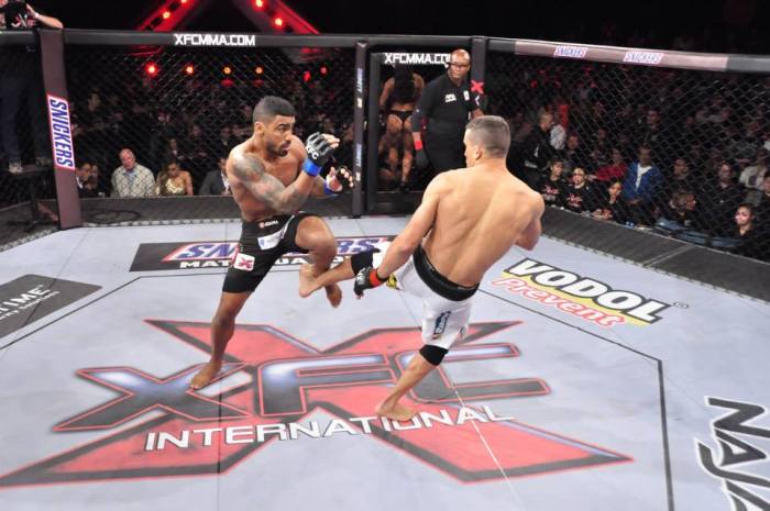 Campeão do torneio entre os meio-médios, Will Galvão volta ao hexágono