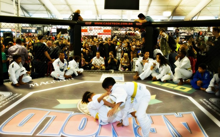 O MMA foi sucesso na edição 2014 do Arnold Classic Brasil (Divulgação)