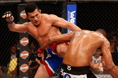 Foto: UFC Divulgação